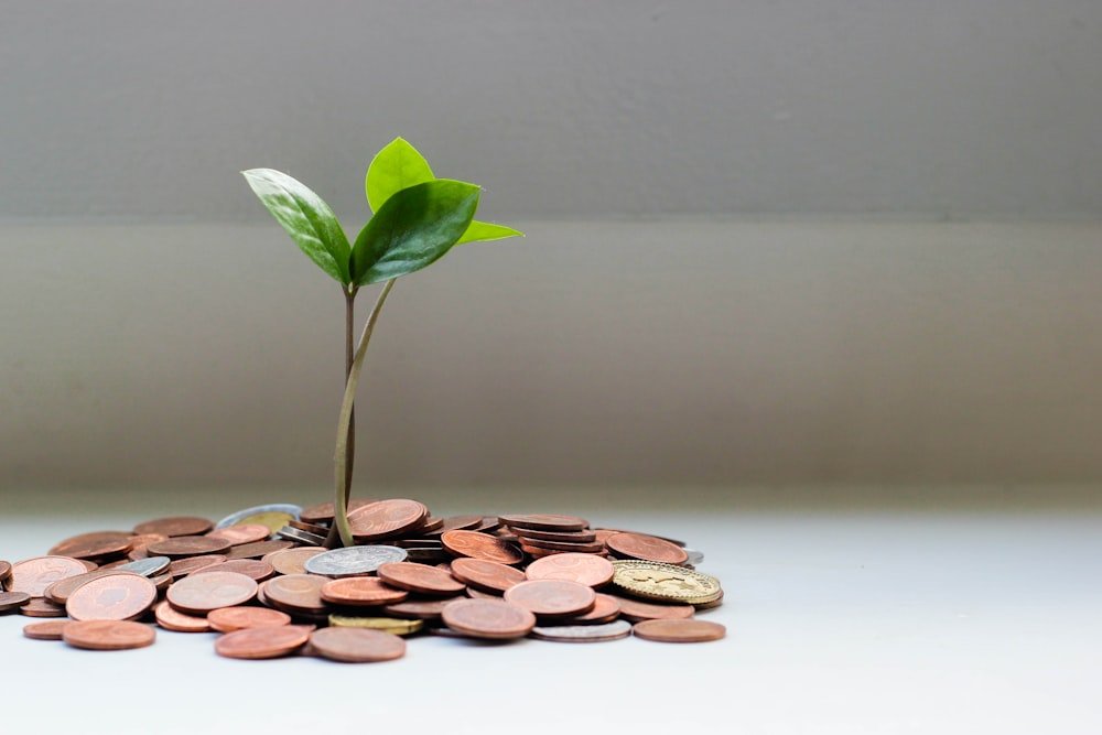 State-tax Compliance Demystified!